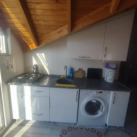 Apartment Plaj